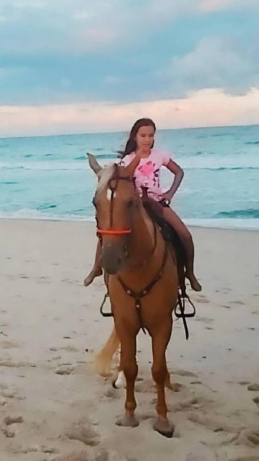 バーハ・デ・サン・ミゲウRancho Da Dorisアパートメント エクステリア 写真
